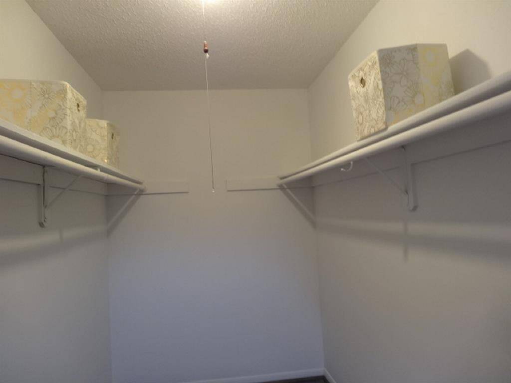 Another View of that Generous Closet