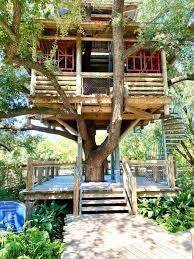 It has its very own treehouse!
