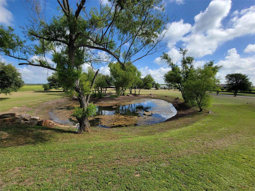 View from tranquility pond with waterfall.