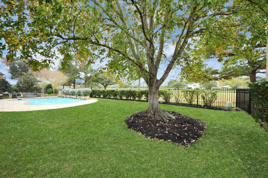 Another view of the spacious yard with lots of green space for your pets.