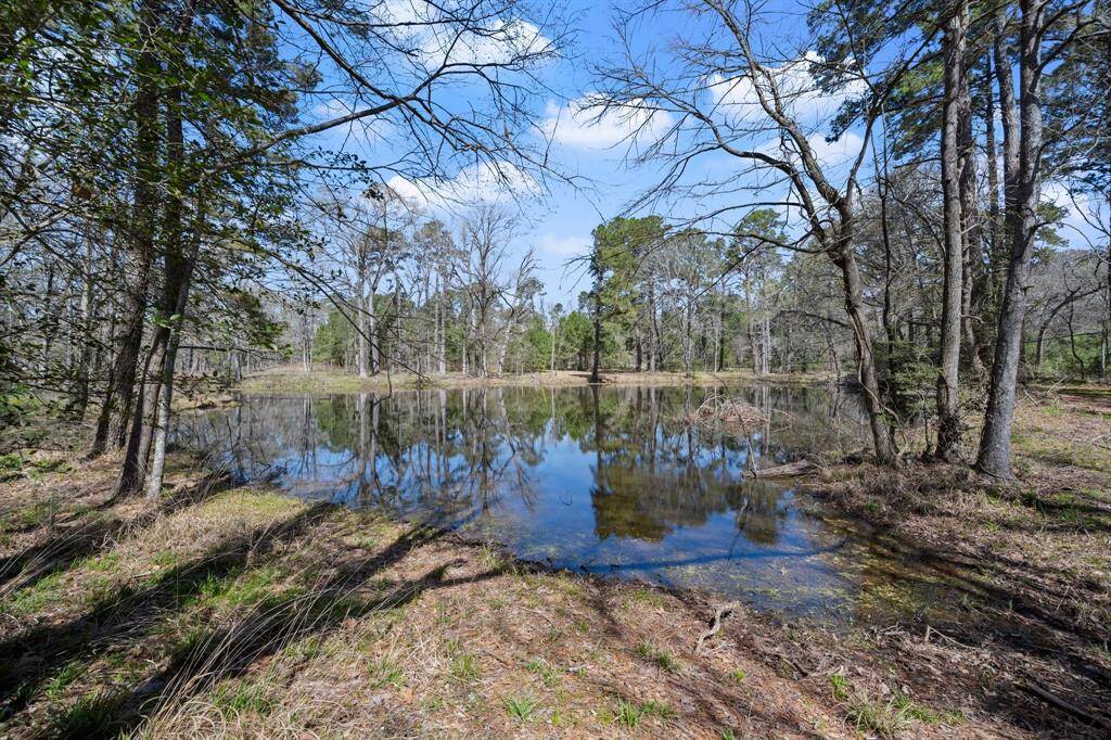 Interior lake.