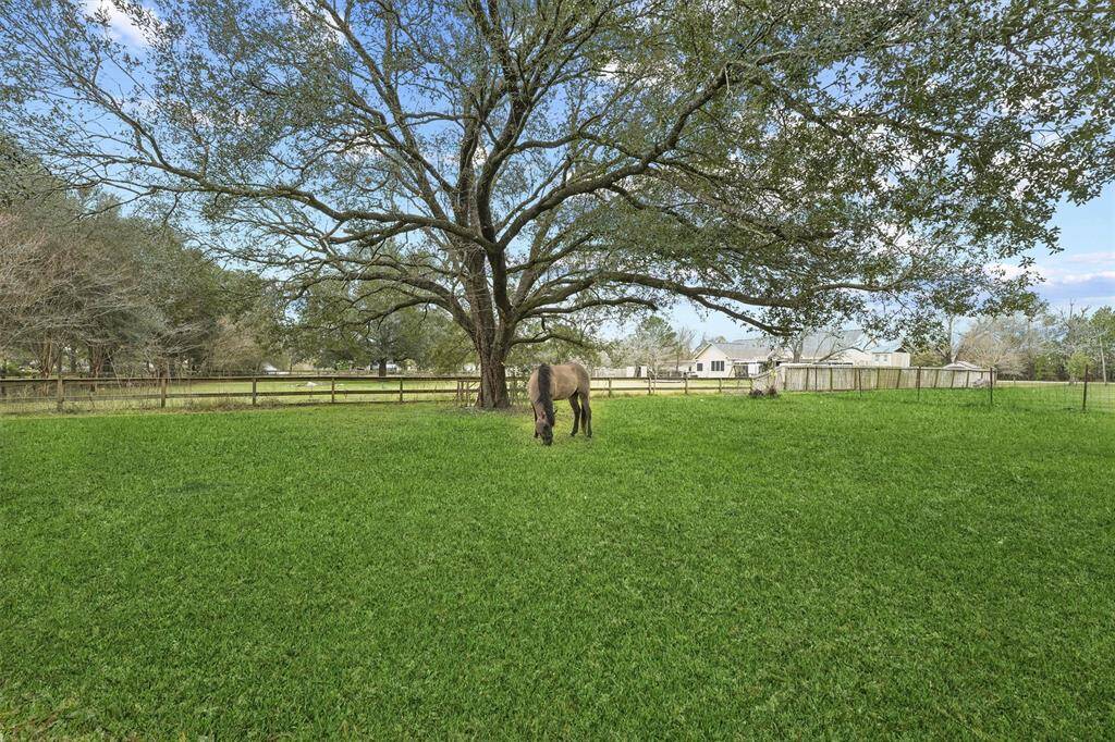 Bring your horses and ride into 816 Sundown Meadows