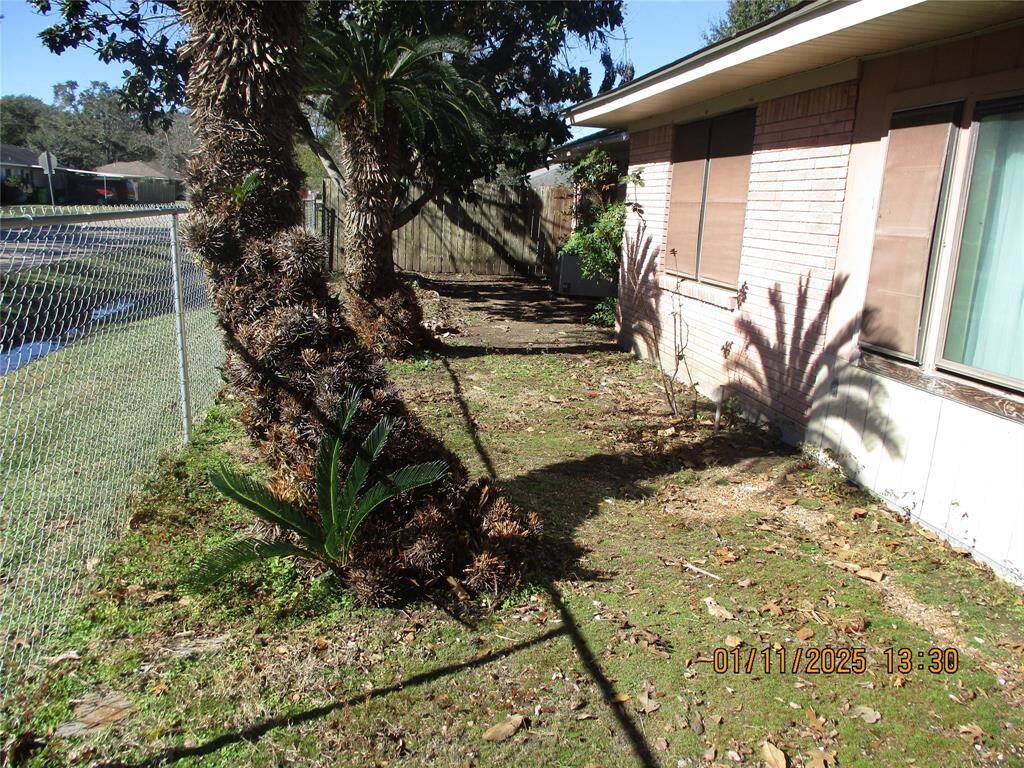 Great Landscaping with 50 year old Unique Palms.