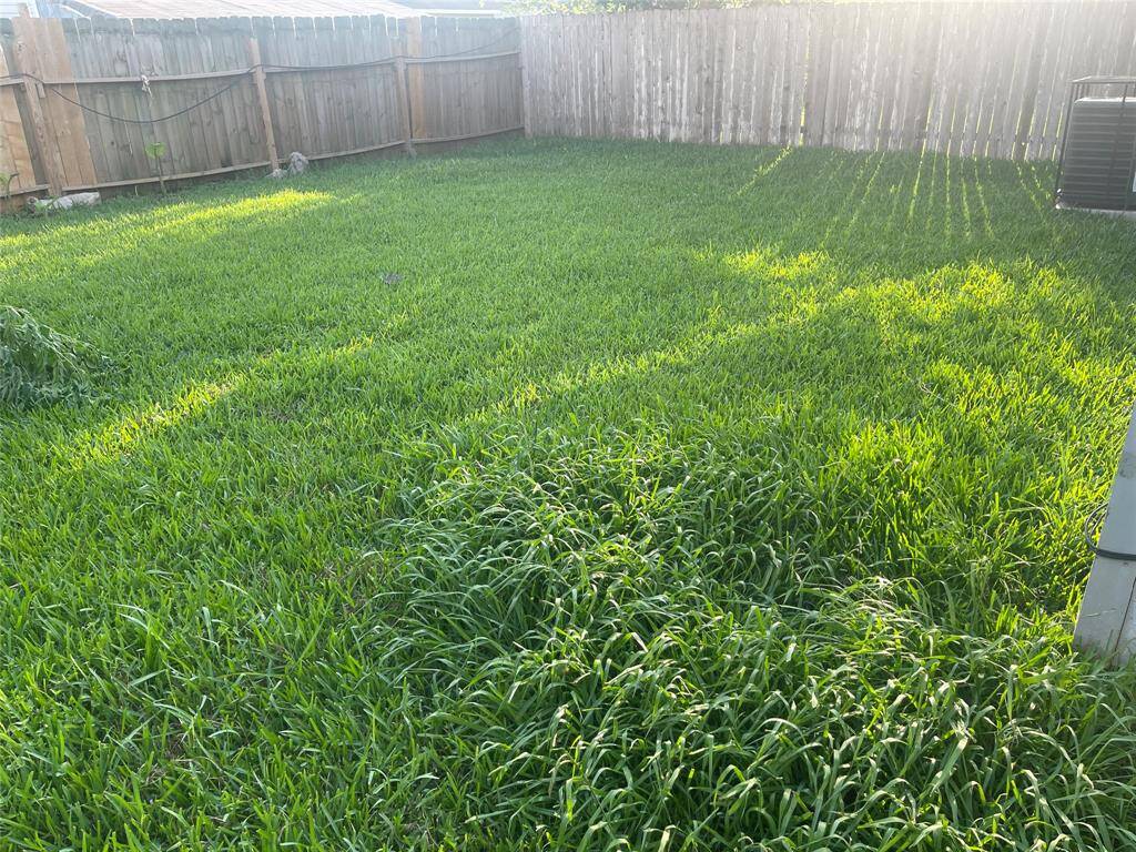 BACK YARD