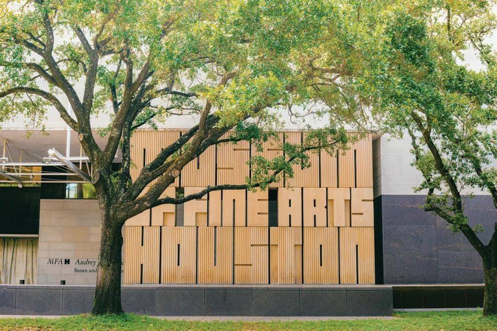 Museum Fine Arts Houston
