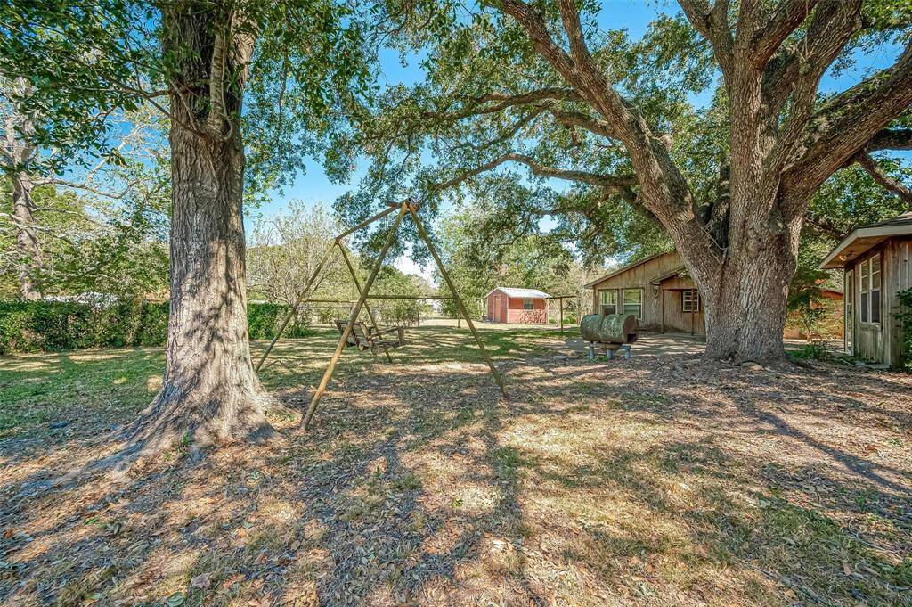 Back yard