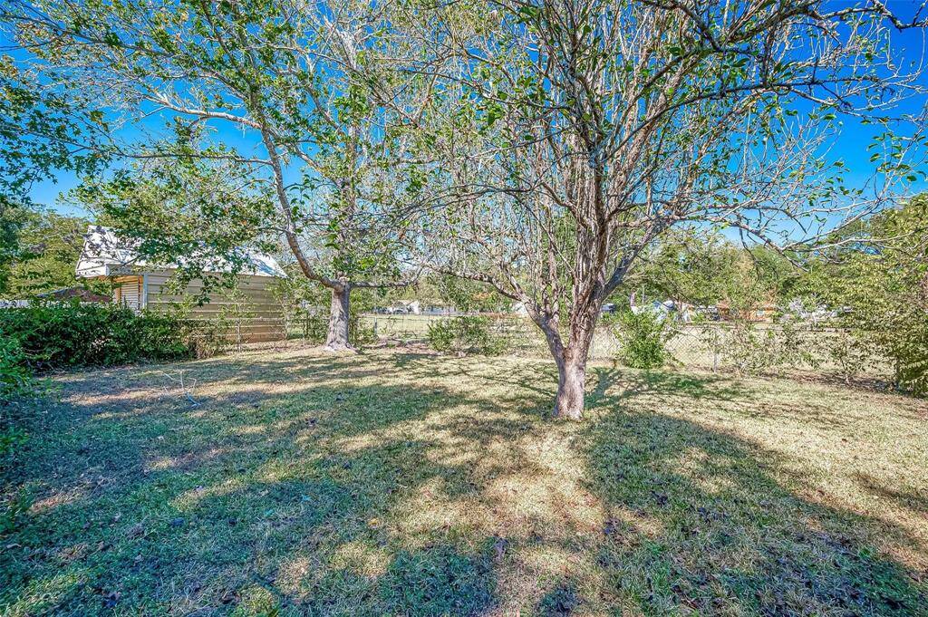 Inside separate fenced section