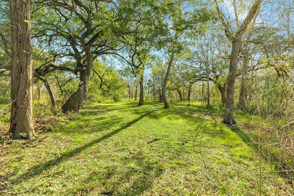 Extra lot behind house for optional use.
