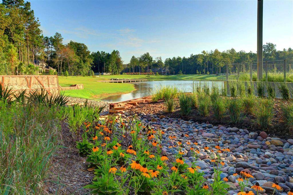 Summer Lake View