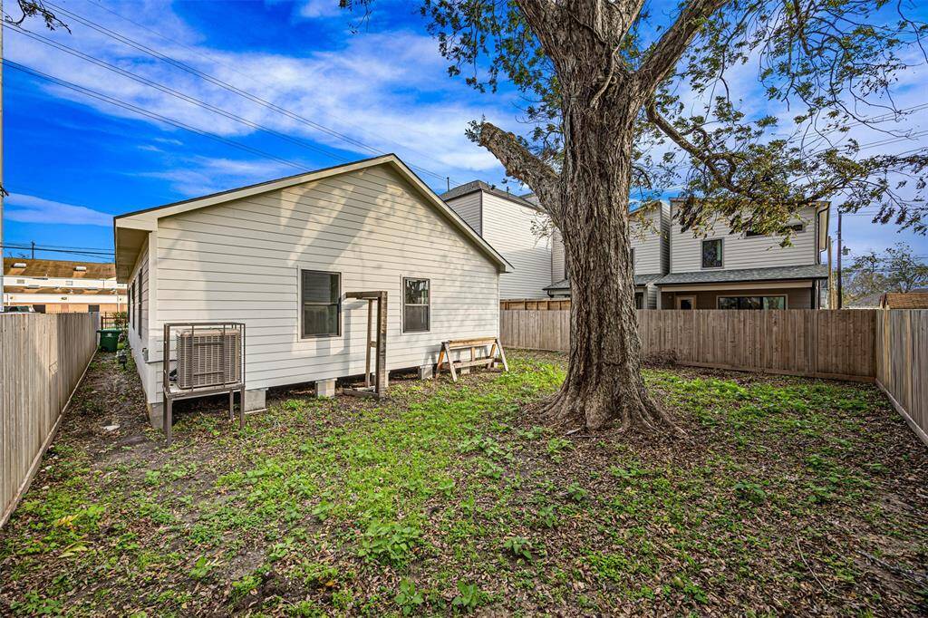 Backyard with large pecan tree.