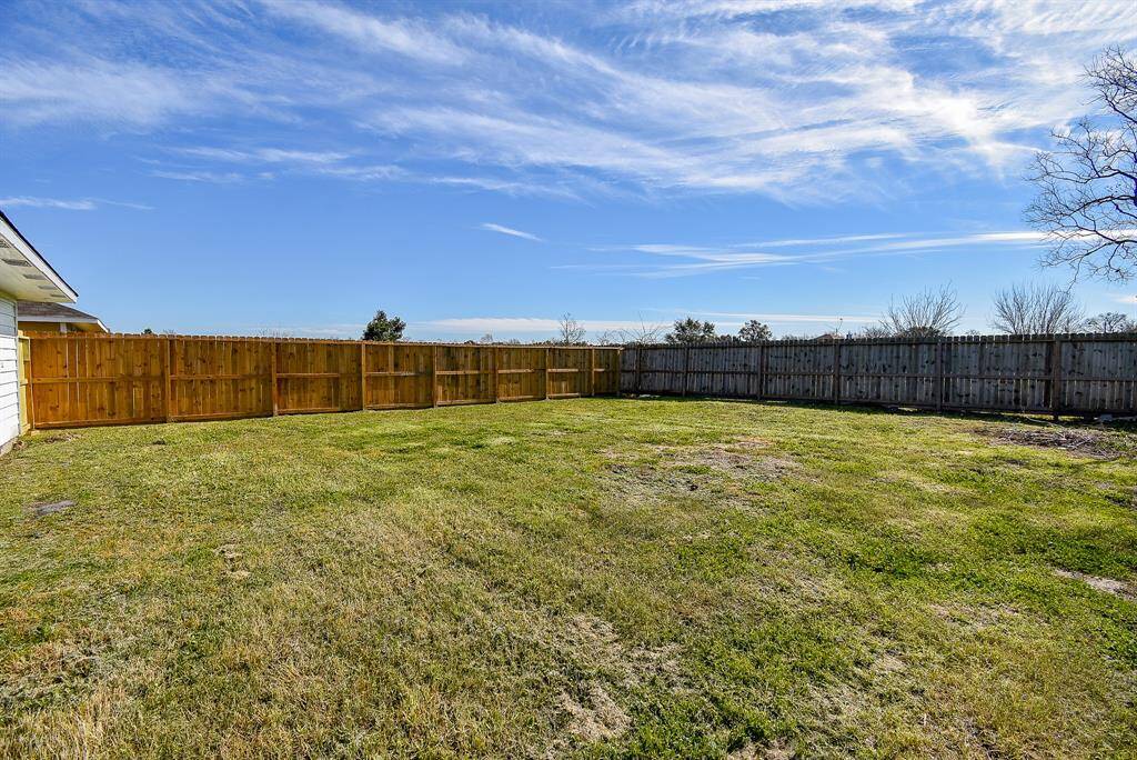 Backyard View 2