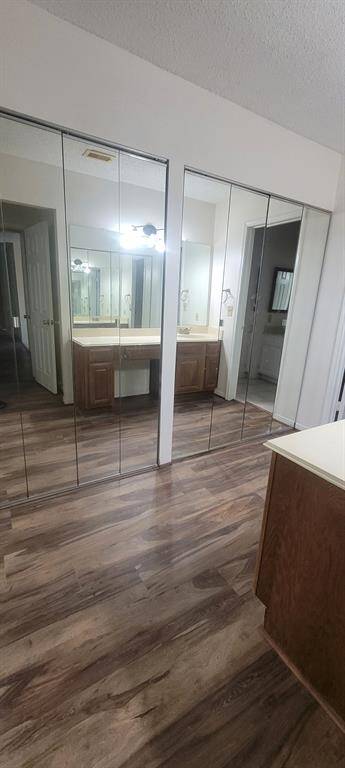 Master bathroom with sink and vanity (tons of closet space)