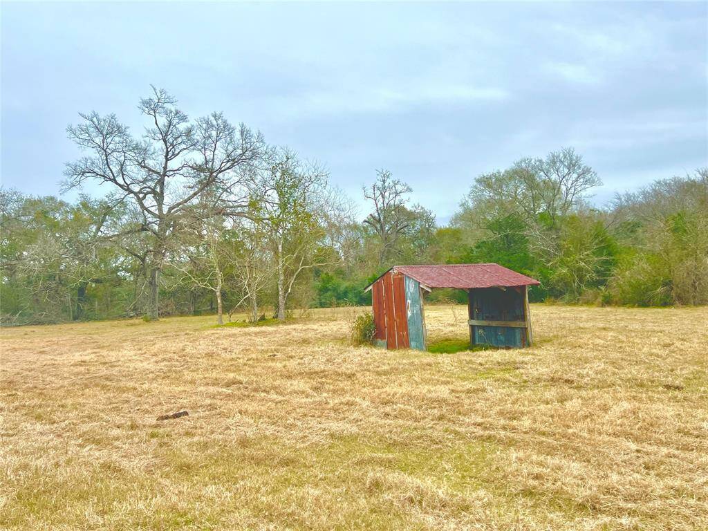 Picturesque view of pasture