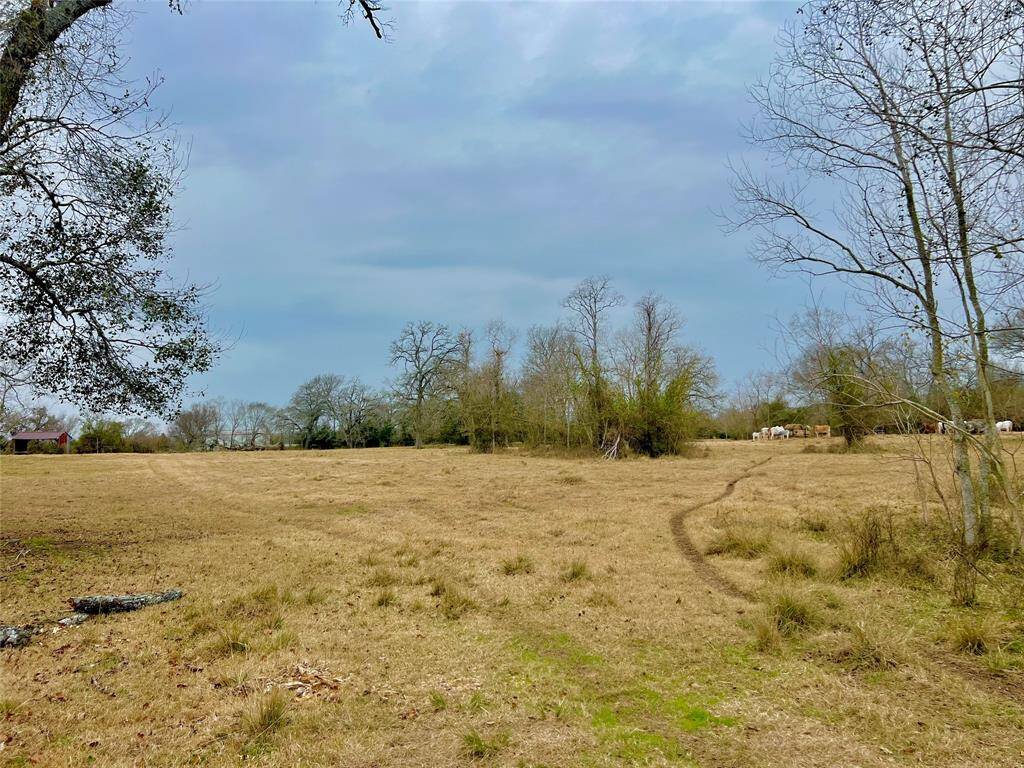 View of pasture from the pond