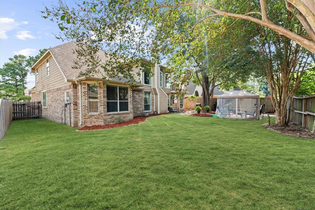 Large backyard