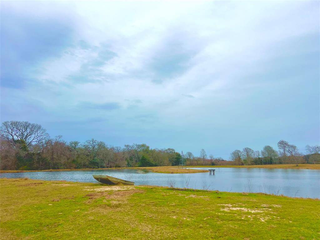 Improved hay pasture