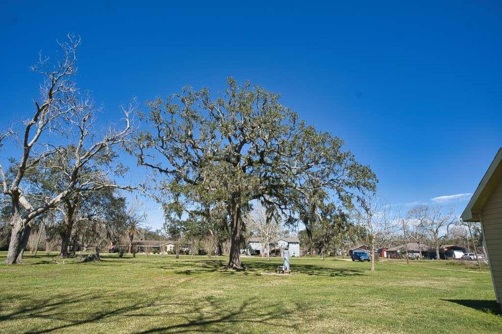 Front yard view