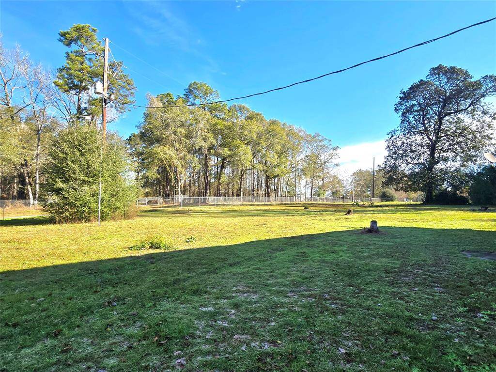 Front yard