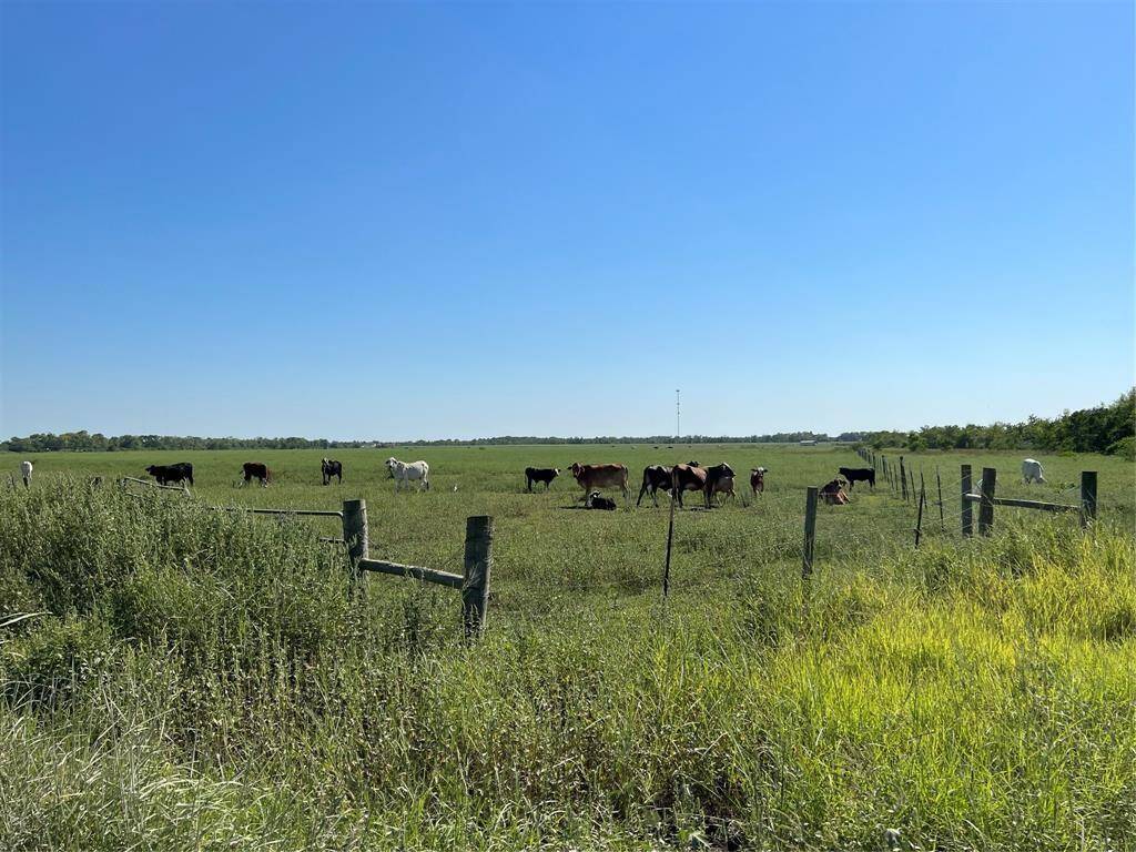 Cattle Lease can stay for buy and hold purchasers. Property is AG Exempt.