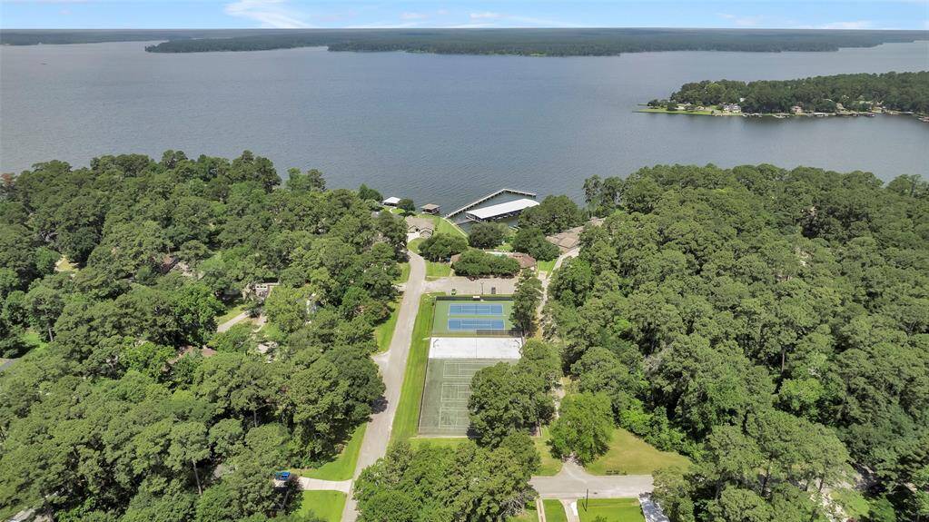 Lake Conroe awaits!   This is the coveted north side of the lake--looking across the lake is the Sam Houston National Forest.