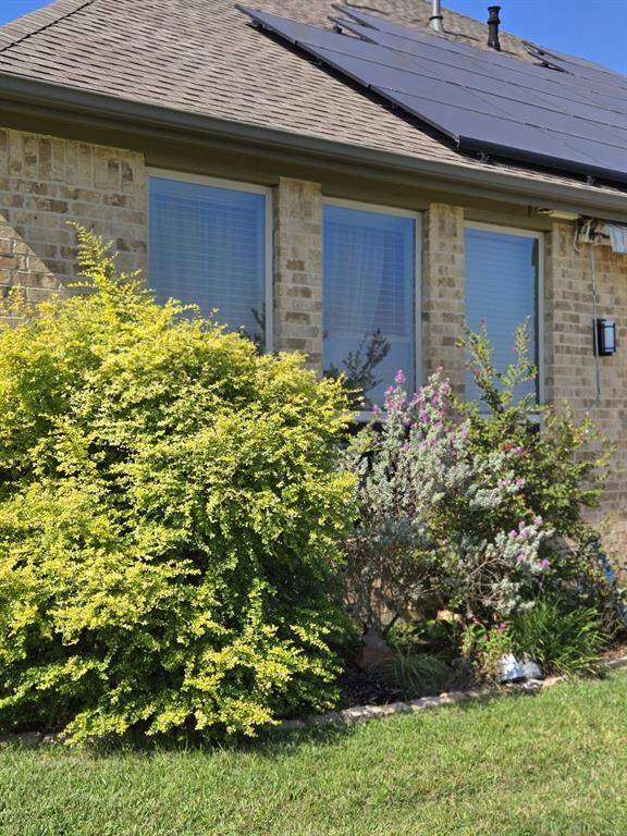 Mature plants enhance the beauty of the garden.