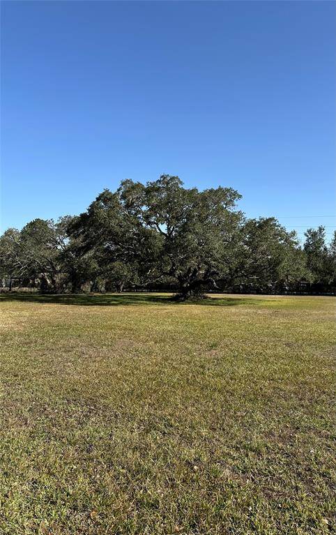 Driveway onto the property.