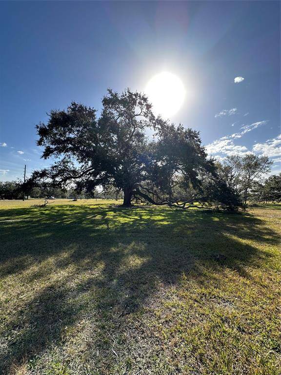 Majestic oaks are scattered throughout the property.