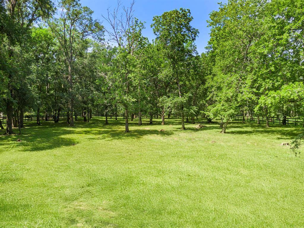 Enjoy serene privacy on one of Fulbrook's most wooded lots backing to a Nature Reserve.