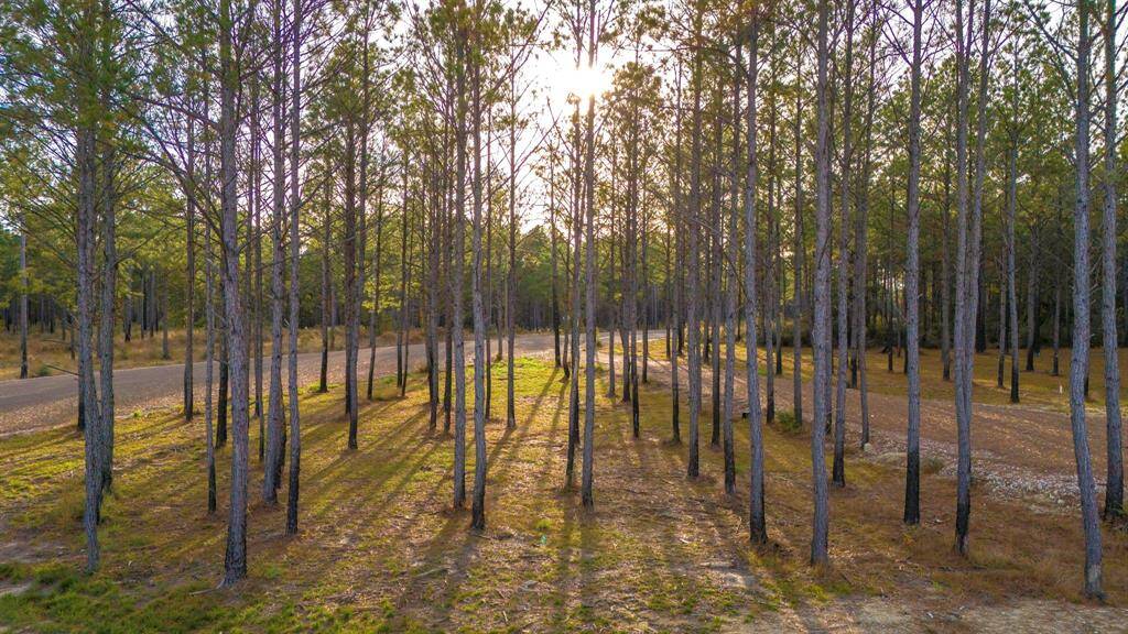 Picnic Area