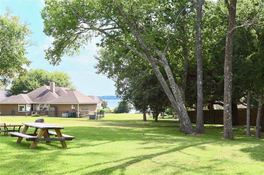 View from backdoor of greenbelt and Lake Conroe