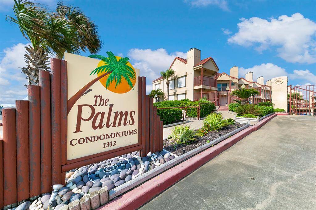 Palms