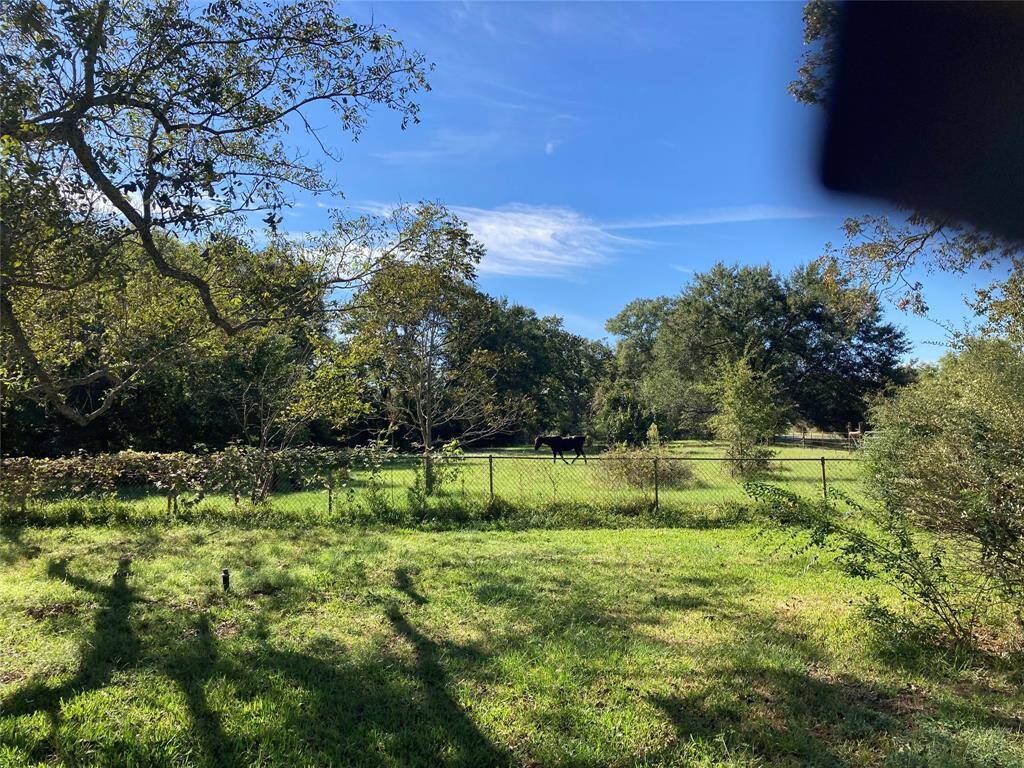 Property Image 41