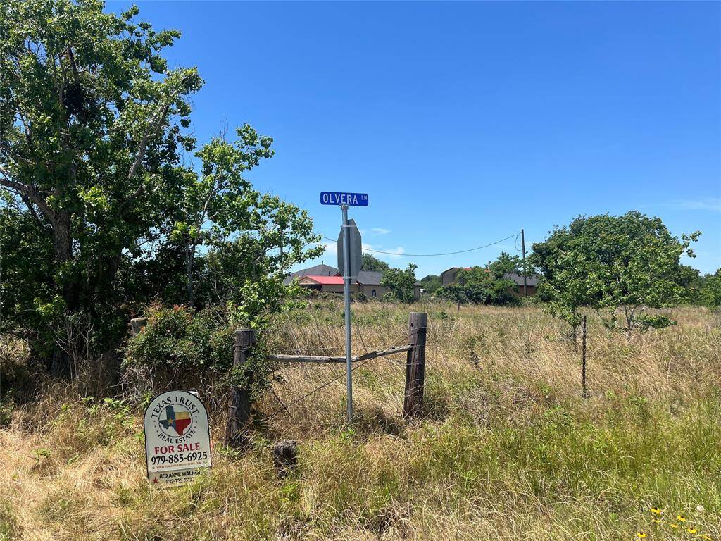 This photo shows a grassy plot of land for sale at corner of Grubbs and along side Olvera Lane, a private lane., featuring a "For Sale" sign by Texas Trust Real Estate. The area is open with some trees and a house visible in the background under a clear blue sky.