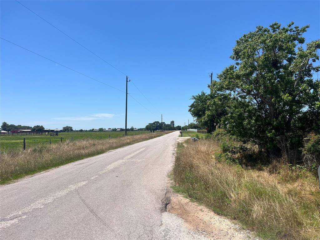 A peaceful, rural road lined with grassy fields and scattered trees under a clear blue sky, offering a serene country setting.