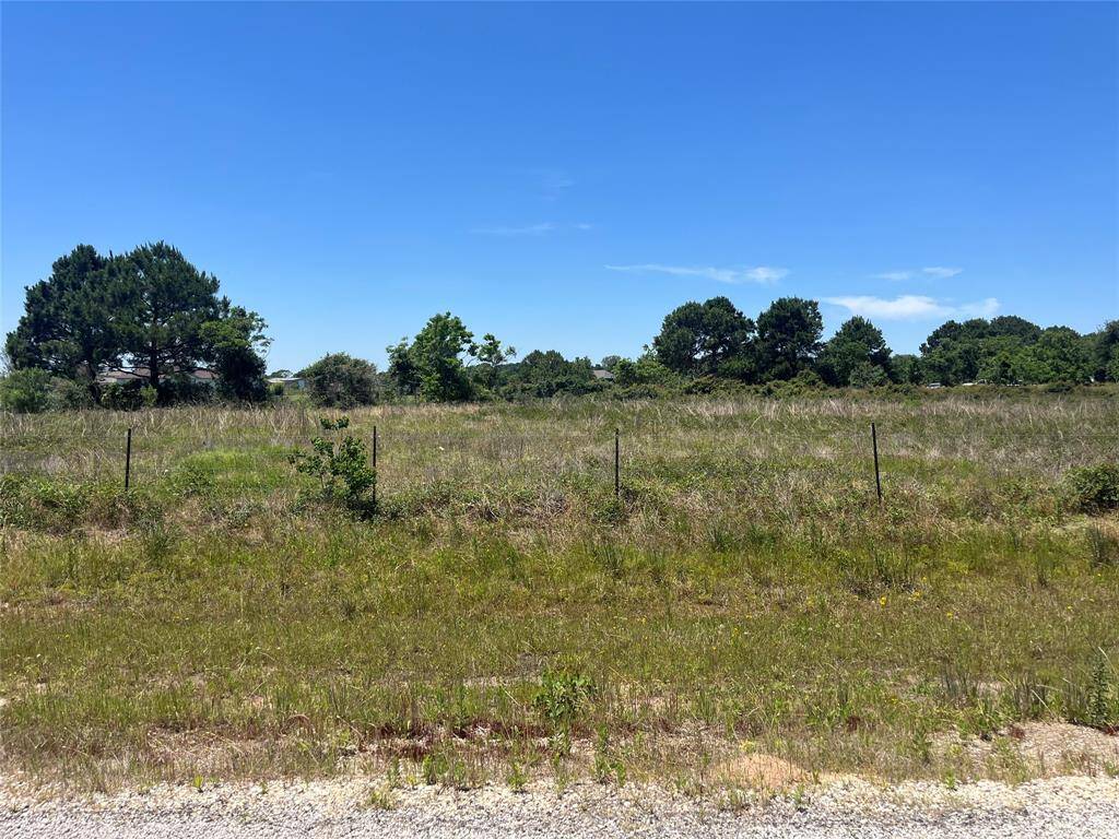 A spacious, grassy plot of land with a few trees in the distance, bordered by a simple wire fence. It offers a clear, open sky and potential for development or landscaping.