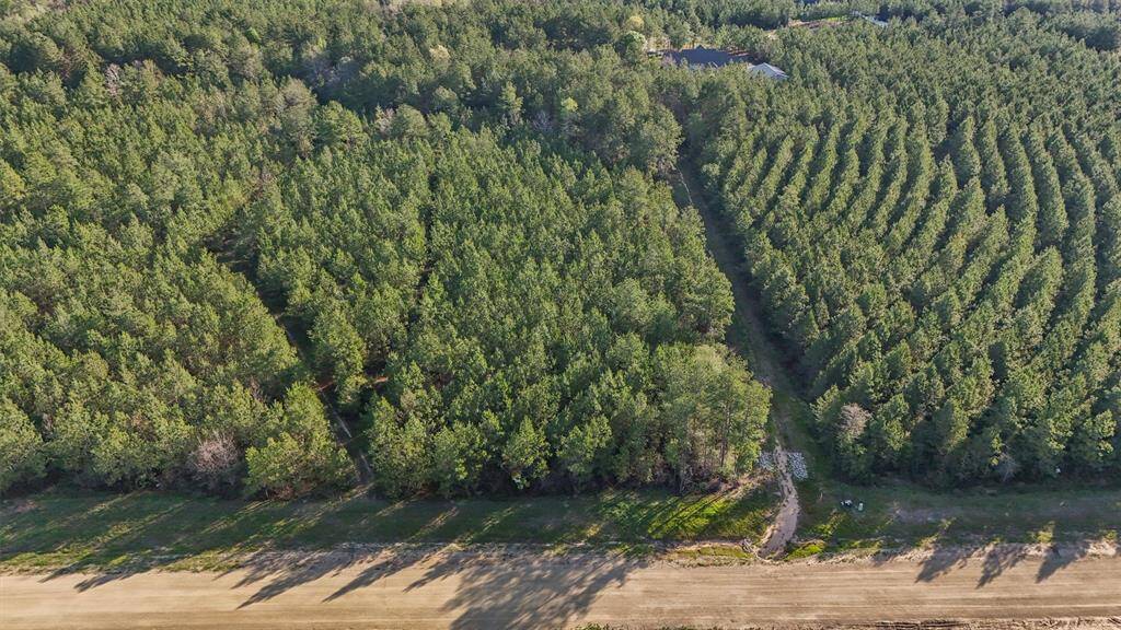 Craft your dream home nestled amongst the enchanting canopy of trees