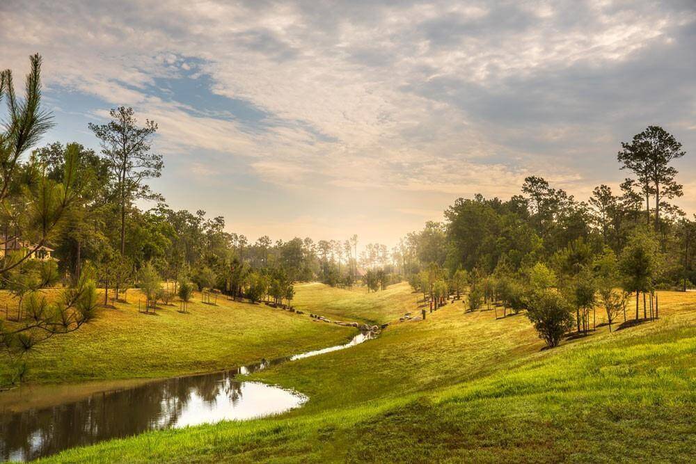 The gorgeous view of Madera Creek that runs through the neighborhood