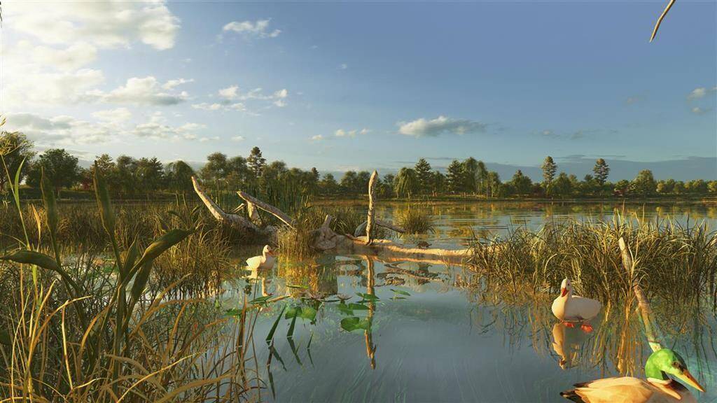 Undistrurbed areas set aside for animals to live.