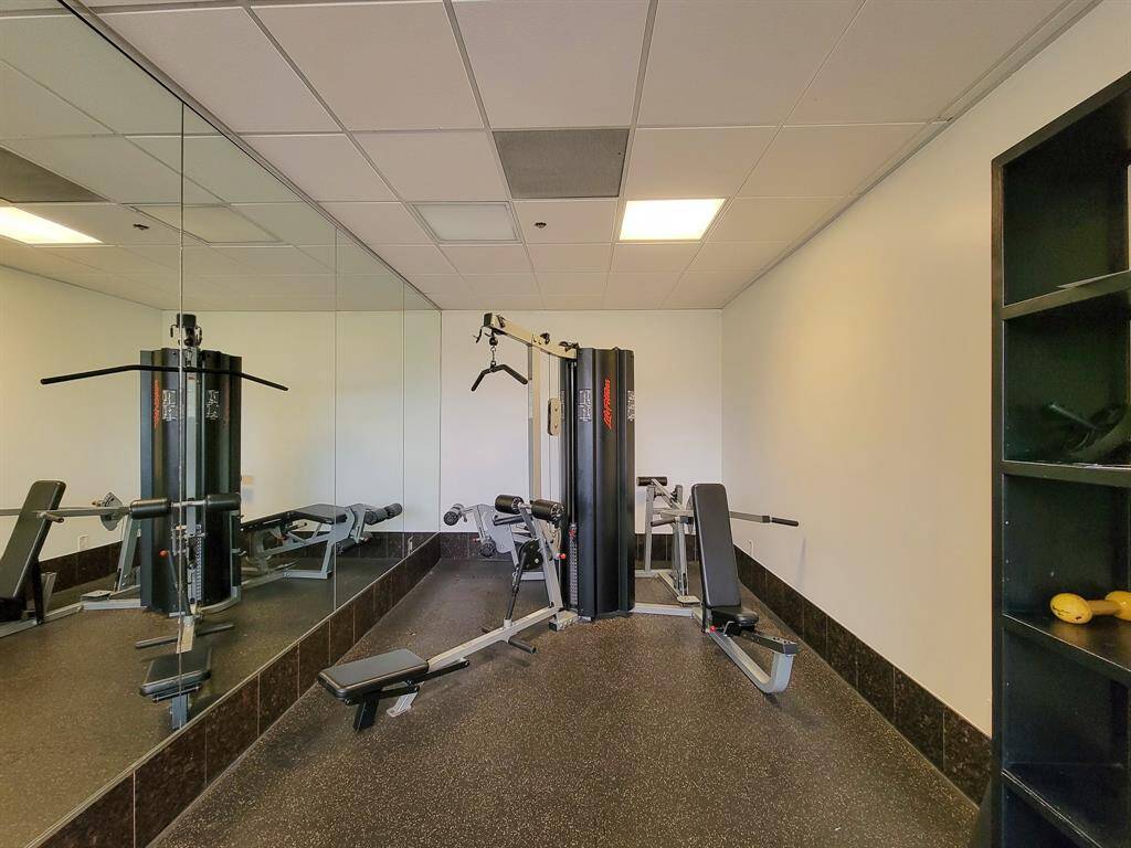 State-of-the-art home gym with premium equipment.