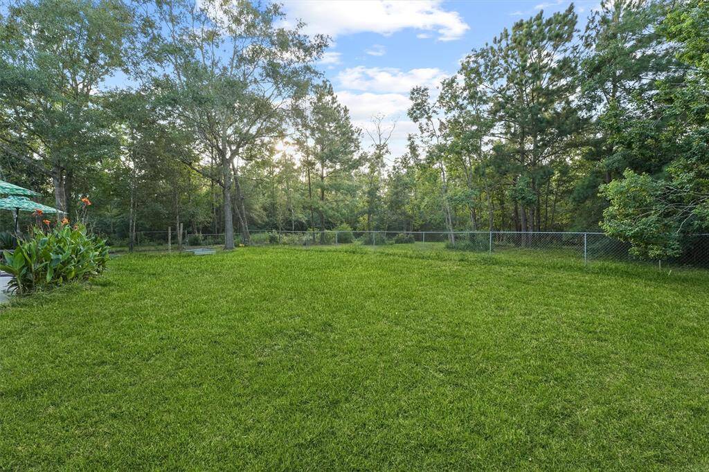 Partially Fenced Backyard of 5 acres.