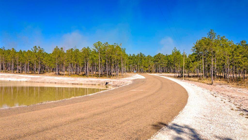 subdivision features a jogging path and pond!
