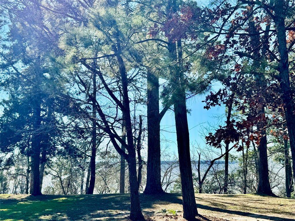 View of the lake