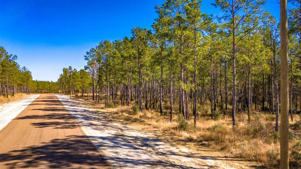 Paved roads throughout the subdivision!