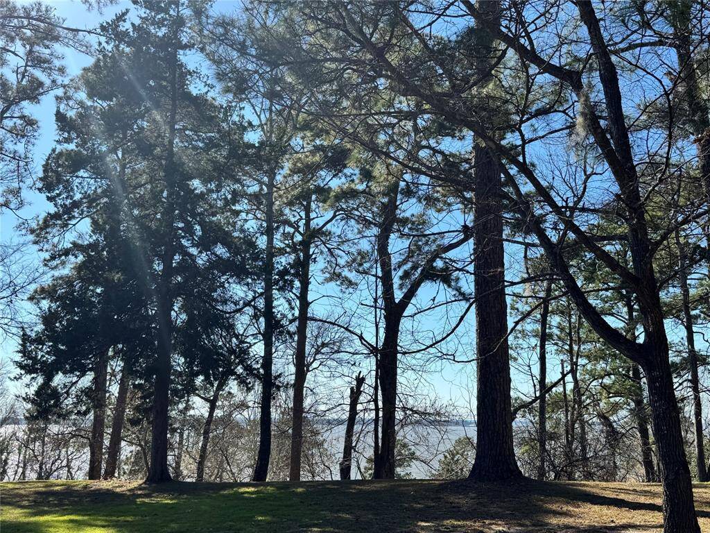 View of the lake