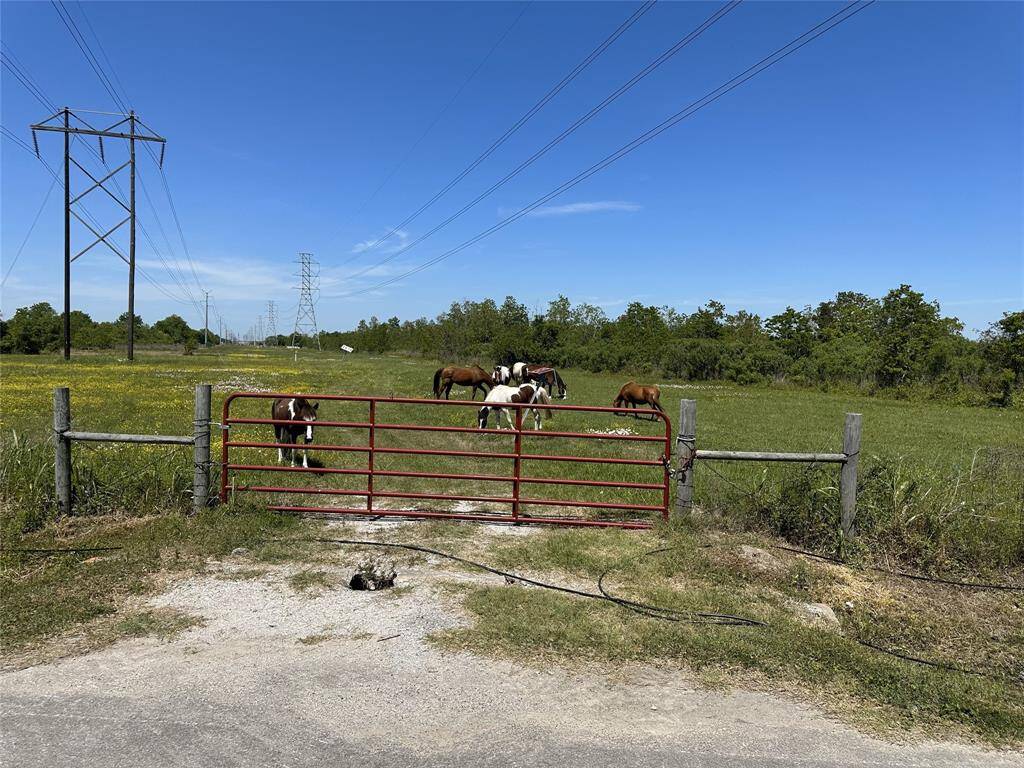 This beautiful tree-covered property is to the left of the gate.
