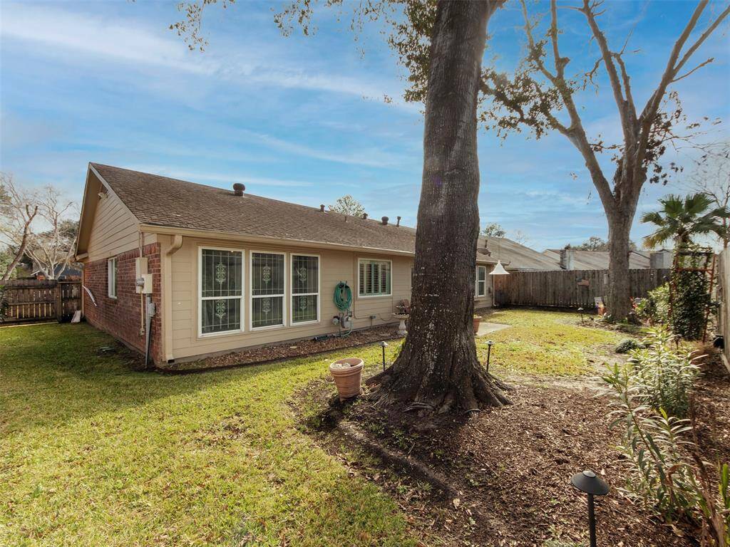 Back yard with mature trees