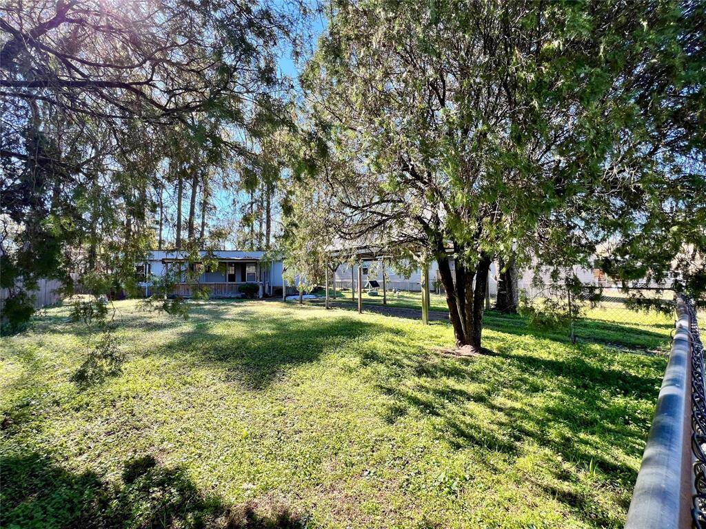 Side view of the back yard.