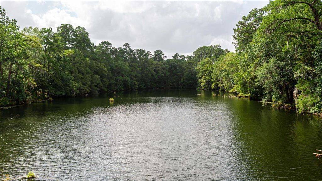 Or head to the preserve to kayak on Phillips Lake!