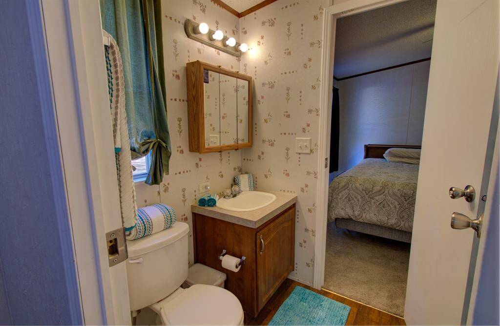 Guest bathroom 1