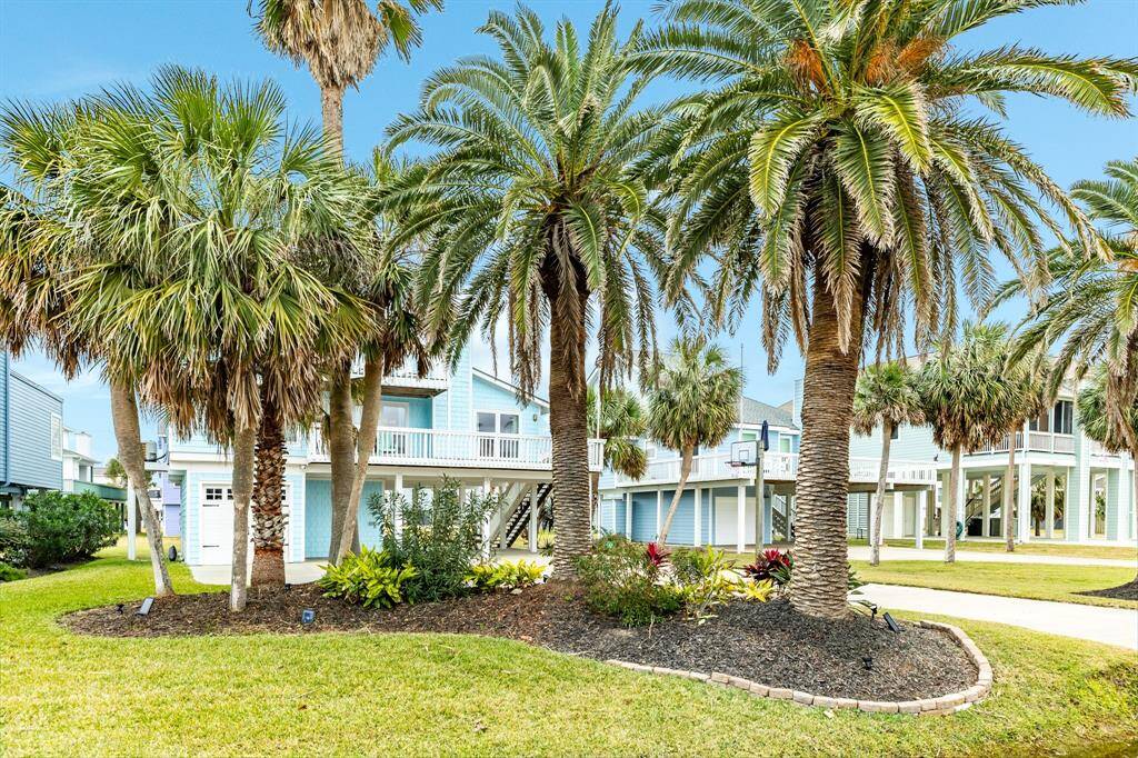 The property has 9 mature palms on site and multiple planting areas.